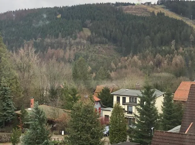 Eichhoernchenkobel Goslar